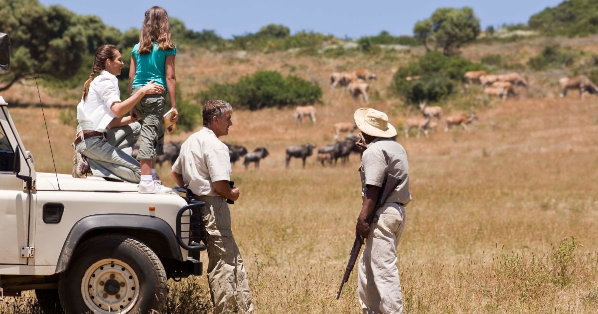 How Much Do Tour Guides Earn in South Africa? (A Complete Breakdown