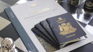 How to Get Dual Citizenship in Grenada in 2024? (Comprehensive Guide)