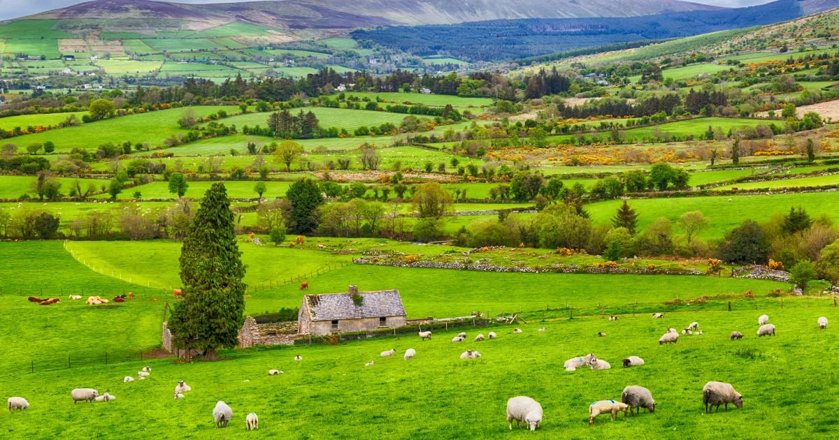 Best Travel Guide Book for Ireland for 2024 (A Comprehensive Guide) 3 Immersive Experiences And Cultural Deep Dives
