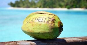 Seychelles Offshore Banking (Best Banks in Seychelles for 2024)